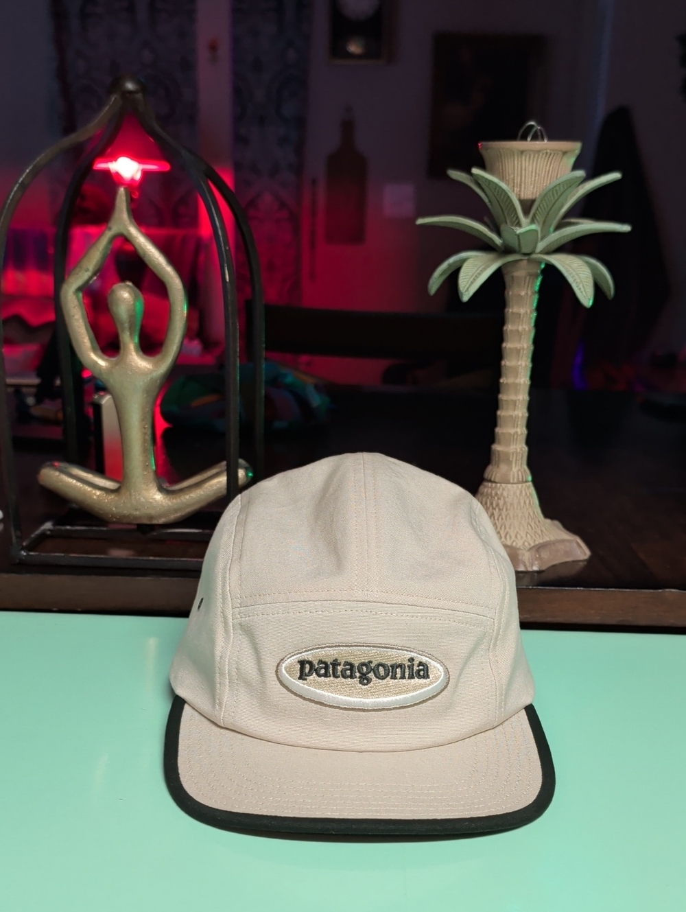 Patagonia Cap on Table